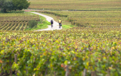  Tourisme, La Voie des Vignes à vélo
